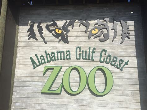 New Zoo Gulf Shores Al